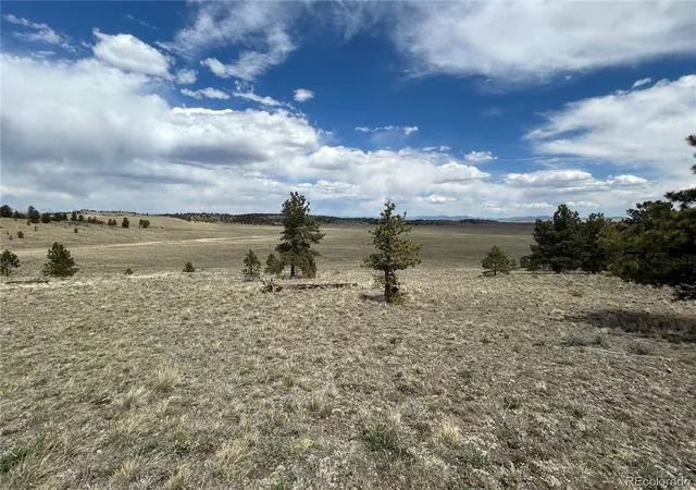 Homes for sale in Hartsel, CO | 591 Singletree Ct, Hartsel, CO 80449 | MLS# 8569623