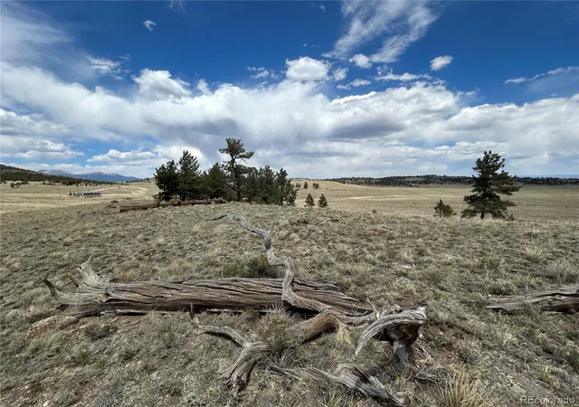 Homes for sale in Hartsel, CO | 591 Singletree Ct, Hartsel, CO 80449 | MLS# 8569623