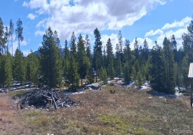 Photo 3 of House for sale at 164 County Rd 443, Grand Lake, CO 80447 | MLS# 9539321 | Listing updated on 2026-08-20