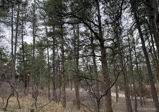 Homes for sale in Larkspur, CO | 4885 Red Rock Dr, Larkspur, CO 80118 | MLS# 4771427