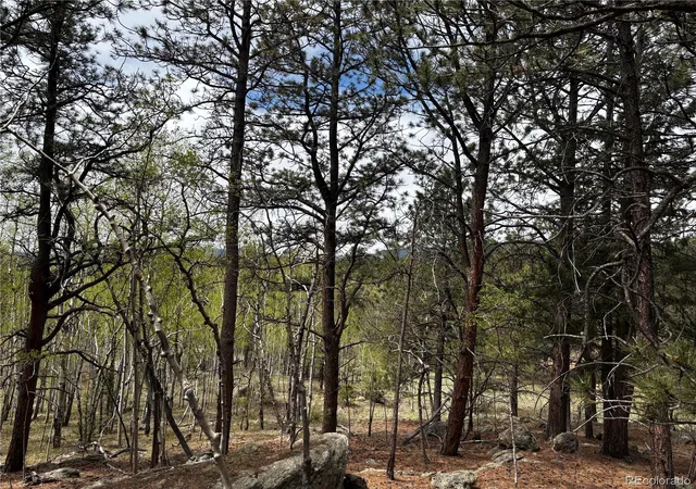 Homes for sale in Florissant, CO | 210 Crescent Dr, Florissant, CO 80816 | MLS# 6245753