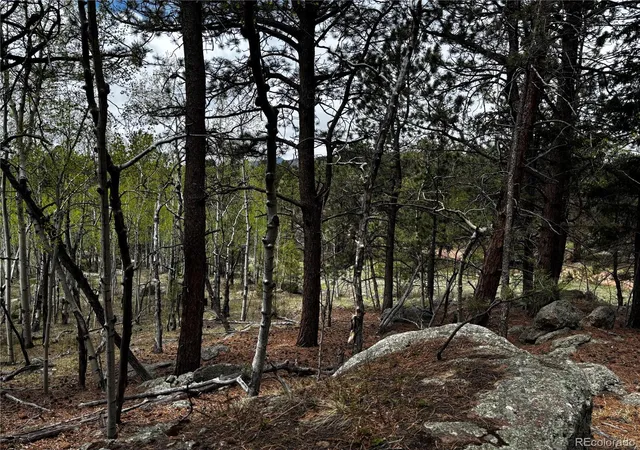 Homes for sale in Florissant, CO | 210 Crescent Dr, Florissant, CO 80816 | MLS# 6245753