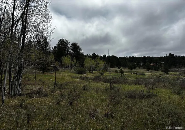 Homes for sale in Florissant, CO | 210 Crescent Dr, Florissant, CO 80816 | MLS# 6245753