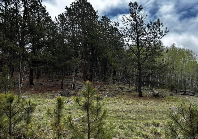 Homes for sale in Florissant, CO | 210 Crescent Dr, Florissant, CO 80816 | MLS# 6245753