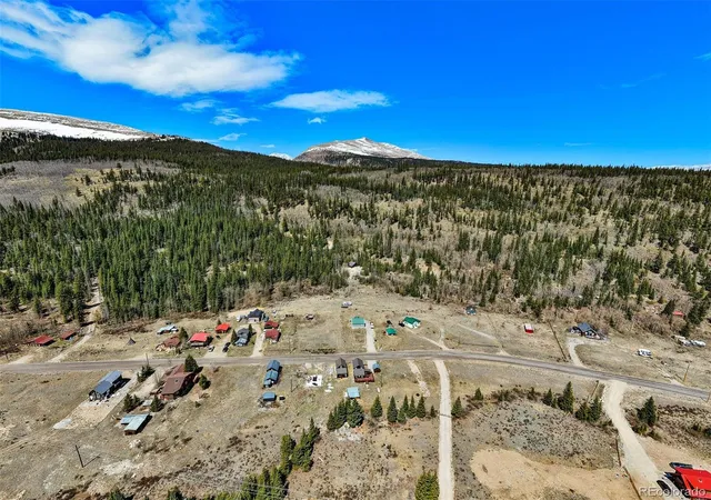 3rd image of 270 Co Rd 667, Fairplay, CO 80440 | MLS# 6289882