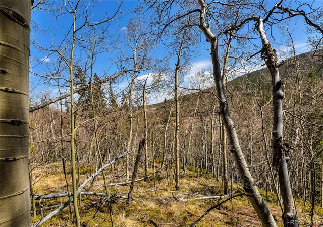 50th image of 270 Co Rd 667, Fairplay, CO 80440 | MLS# 6289882