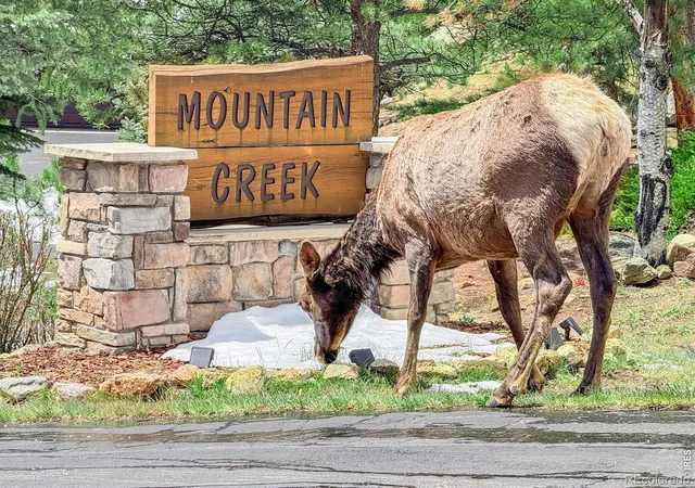 Photo 2 of Condo for sale at 262 Steamer Ct, Estes Park, CO 80517 | MLS# IR1058883 | Listing updated on 2026-09-20
