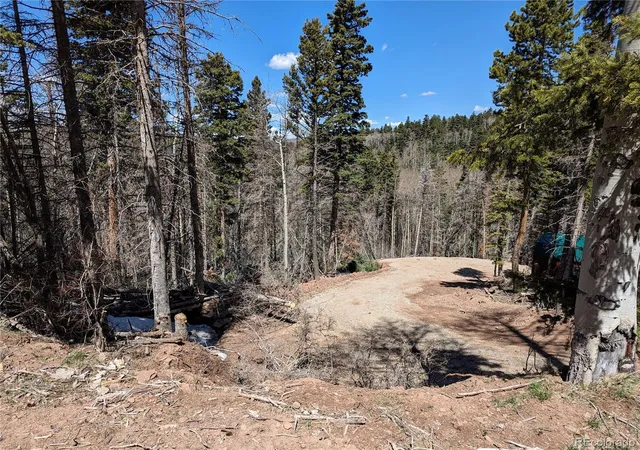 Photo 14 of Land for sale at 2767 2769 Purnell Ln, Fort Garland, CO 81133 | MLS# 4522740 | Listing updated on 2026-05-13