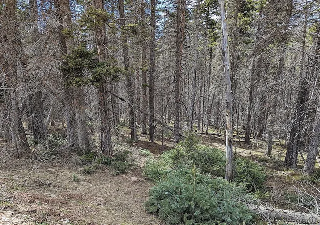 Photo 5 of Land for sale at 2767-2769 Purnell Ln, Fort Garland, CO 81133 | MLS# 4522740 | Listing updated on 2026-05-13