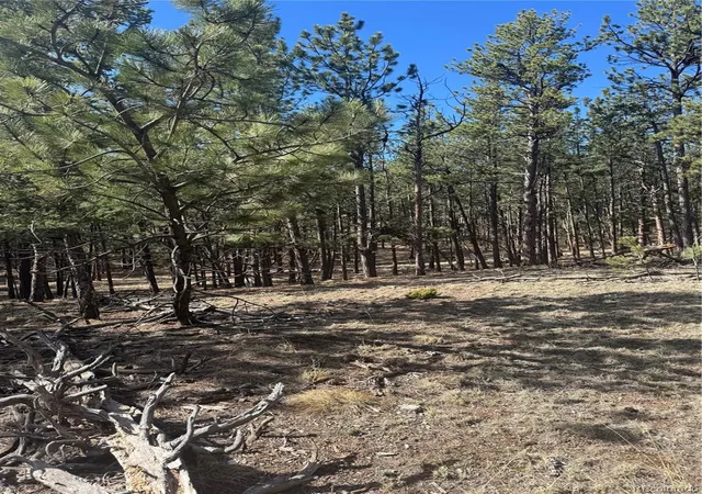 Homes for sale in Florissant, CO | 642 Matterhorn Dr, Florissant, CO 80816 | MLS# 2042899