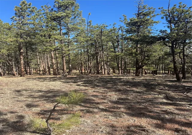 Homes for sale in Florissant, CO | 642 Matterhorn Dr, Florissant, CO 80816 | MLS# 2042899