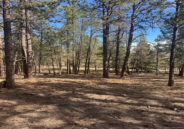 Homes for sale in Florissant, CO | 642 Matterhorn Dr, Florissant, CO 80816 | MLS# 2042899