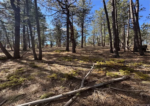 Homes for sale in Florissant, CO | 642 Matterhorn Dr, Florissant, CO 80816 | MLS# 2042899
