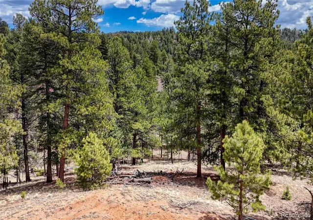 Homes for sale in Florissant, CO | 16 View Cir, Florissant, CO 80816 | MLS# 6559326
