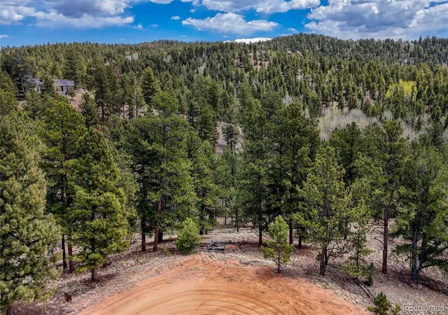 Homes for sale in Florissant, CO | 16 View Cir, Florissant, CO 80816 | MLS# 6559326