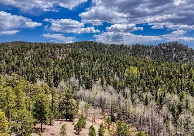 Homes for sale in Florissant, CO | 16 View Cir, Florissant, CO 80816 | MLS# 6559326
