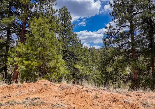 Homes for sale in Florissant, CO | 16 View Cir, Florissant, CO 80816 | MLS# 6559326