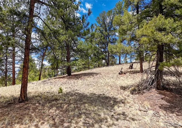 Homes for sale in Florissant, CO | 16 View Cir, Florissant, CO 80816 | MLS# 6559326