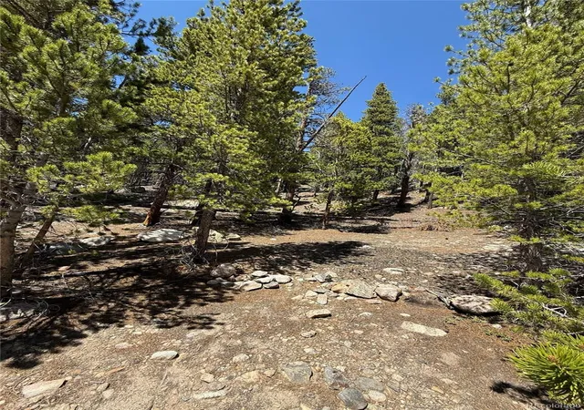 Homes for sale in Idaho Springs, CO | 312 Vista Rd, Idaho Springs, CO 80452 | MLS# 9449428