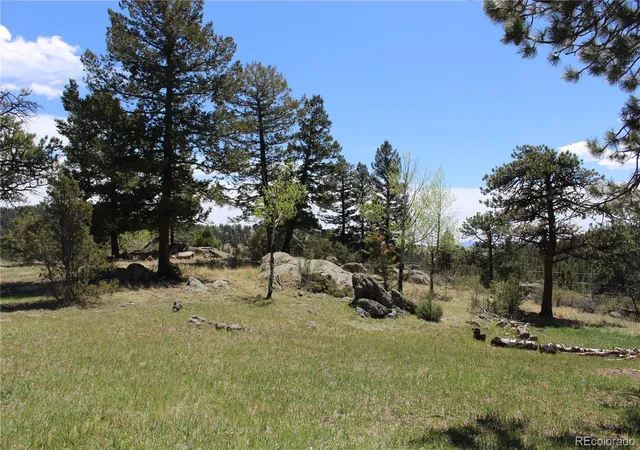 Photo 25 of Single family home for sale at 234 Panorama Dr, Bailey, CO 80421 | MLS# 7123406 | Listing updated on 2026-10-15