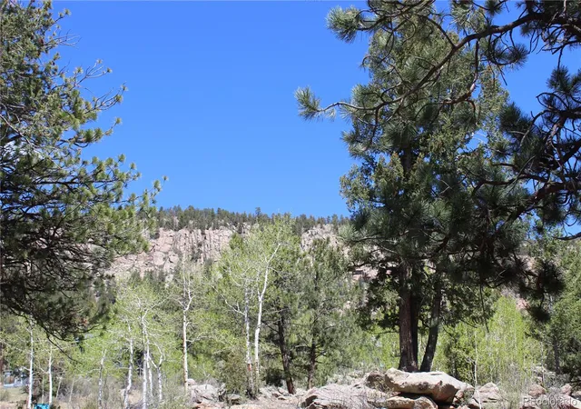 Photo 4 of Single family home for sale at 234 Panorama Dr, Bailey, CO 80421 | MLS# 7123406 | Listing updated on 2026-10-15