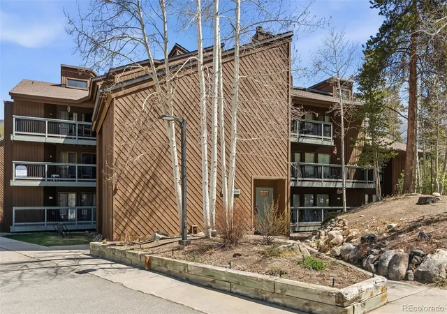 Homes for sale in Dillon, CO | 423 Wild Irishman Rd #13204, Dillon, CO 80435 | MLS# 9531033