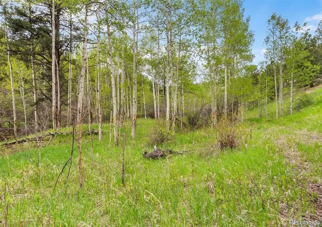 4th image of 000 Spirit Horse Trl, Golden, CO 80403 | MLS# 9319349