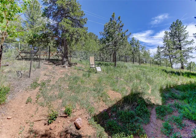 Homes for sale in Bailey, CO | 606 Clark Rd, Bailey, CO 80421 | MLS# 5916188