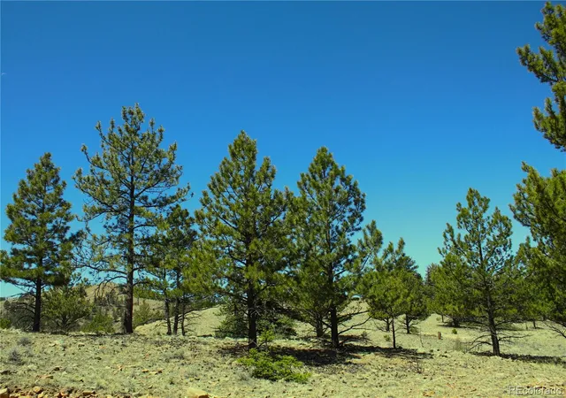 1st image of 12451 Us 24, Hartsel, CO 80449 | MLS# 3077371