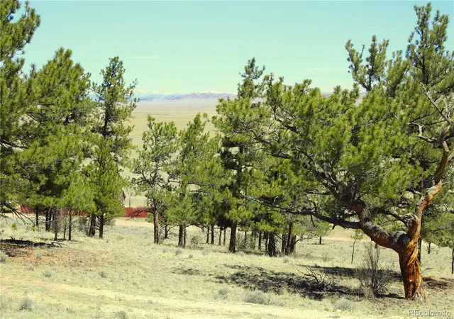 15th image of 12451 Us 24, Hartsel, CO 80449 | MLS# 3077371