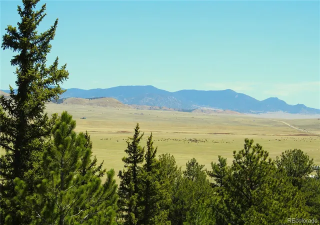 2nd image of 12451 Us 24, Hartsel, CO 80449 | MLS# 3077371