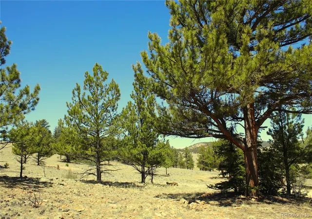 4th image of 12451 Us-24, Hartsel, CO 80449 | MLS# 3077371