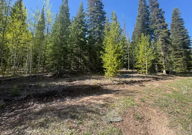 image of 44 Wilderness Rd, Walden, CO 80430 | MLS# IR1059056