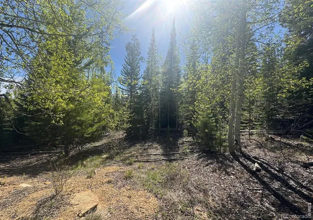 image of 44 Wilderness Rd, Walden, CO 80430 | MLS# IR1059056