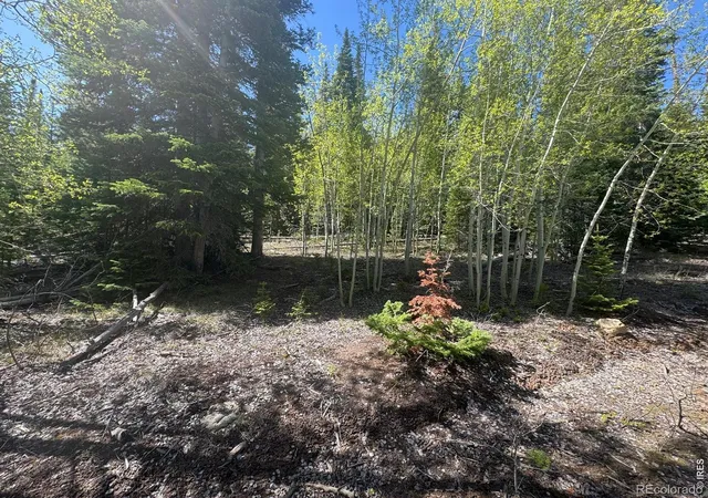 image of 44 Wilderness Rd, Walden, CO 80430 | MLS# IR1059056