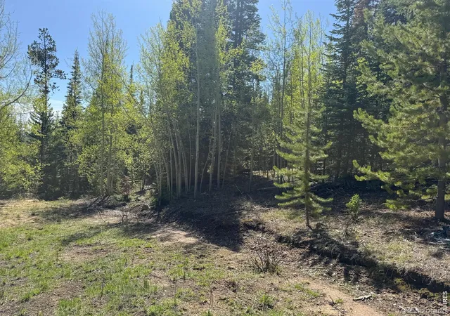 image of 44 Wilderness Rd, Walden, CO 80430 | MLS# IR1059056
