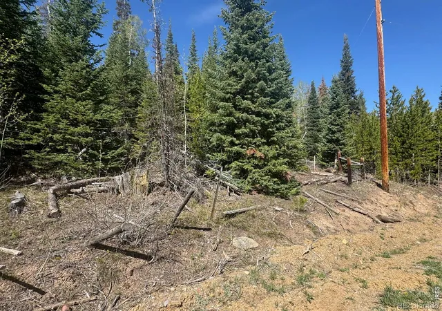 image of 44 Wilderness Rd, Walden, CO 80430 | MLS# IR1059056