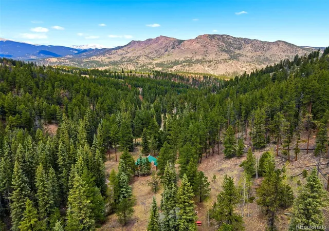 Homes for sale in Bailey, CO | 652 Payne Gulch Rd, Bailey, CO 80421 | MLS# 2468294