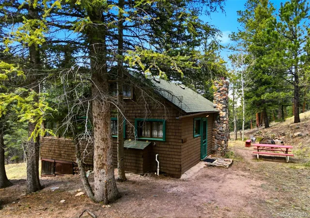 Homes for sale in Bailey, CO | 652 Payne Gulch Rd, Bailey, CO 80421 | MLS# 2468294