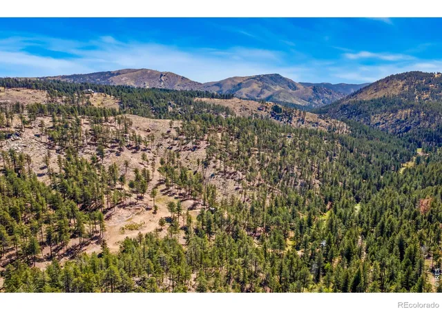 3rd image of 1899 Spring Valley Rd, Bellvue, CO 80512 | MLS# IR1059087