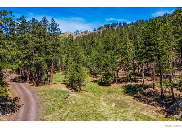 5th image of 1899 Spring Valley Rd, Bellvue, CO 80512 | MLS# IR1059087