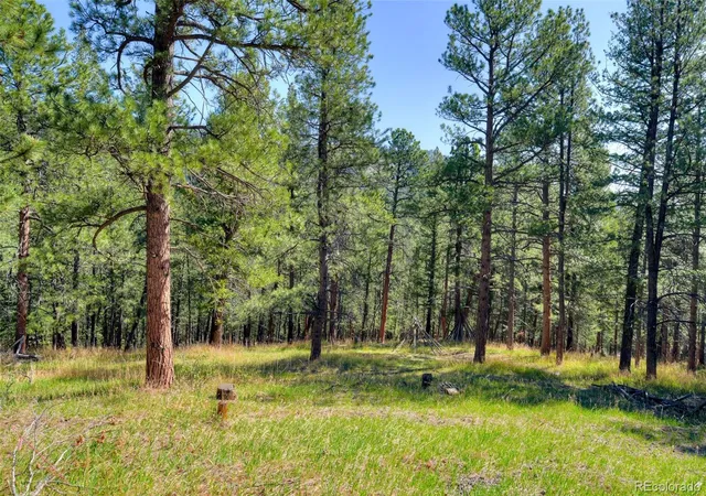 Homes for sale in Evergreen, CO | 281 Kings, Evergreen, CO 80439 | MLS# 4256193