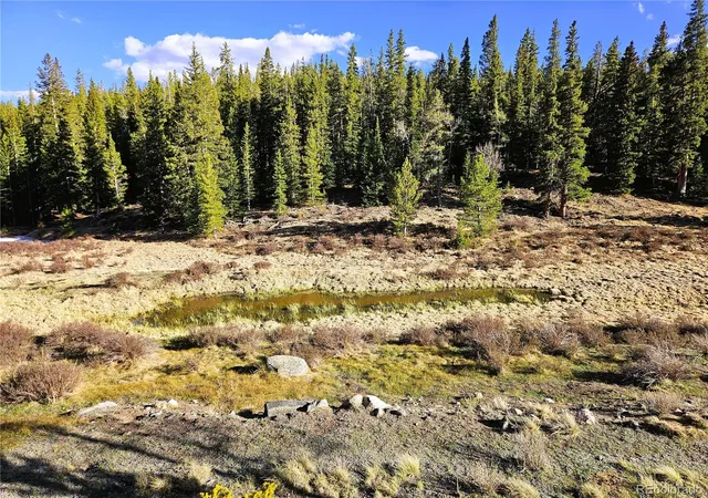 1st image of Pcs#7765 & 12057 Rollies Trl, Alma, CO 80420 | MLS# 7598373