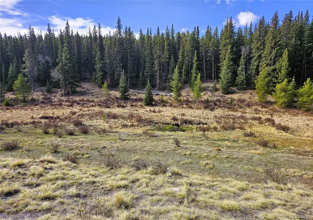 2nd image of Pcs#7765 & 12057 Rollies Trl, Alma, CO 80420 | MLS# 7598373
