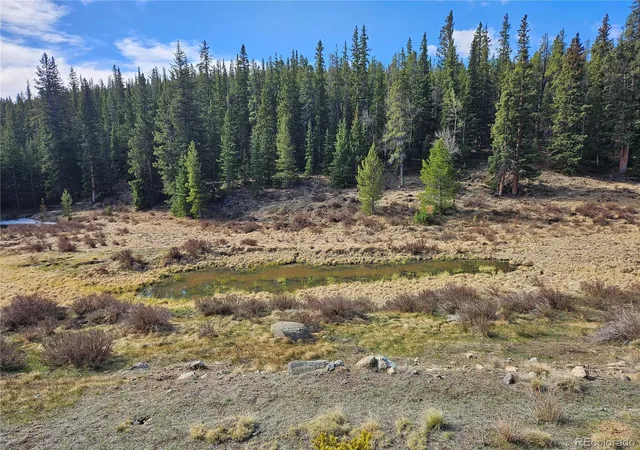 3rd image of Pcs#7765 & 12057 Rollies Trl, Alma, CO 80420 | MLS# 7598373