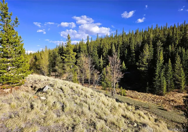 50th image of Pcs#7765 & 12057 Rollies Trl, Alma, CO 80420 | MLS# 7598373