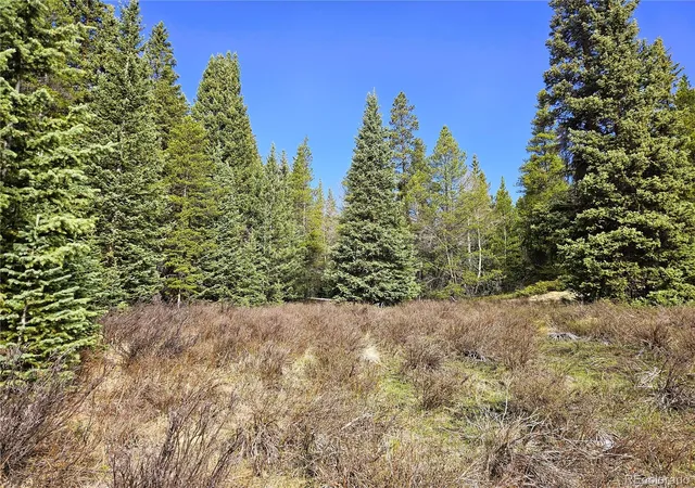 5th image of Pcs#7765 & 12057 Rollies Trl, Alma, CO 80420 | MLS# 7598373