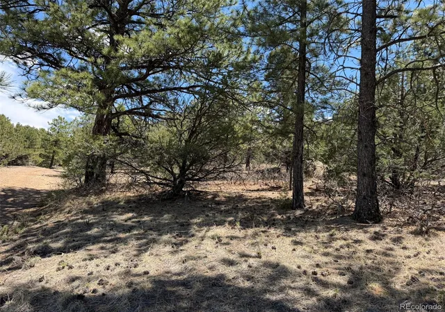 1st image of 477 Bear Peak Rd, Westcliffe, CO 81252 | MLS# 8779280