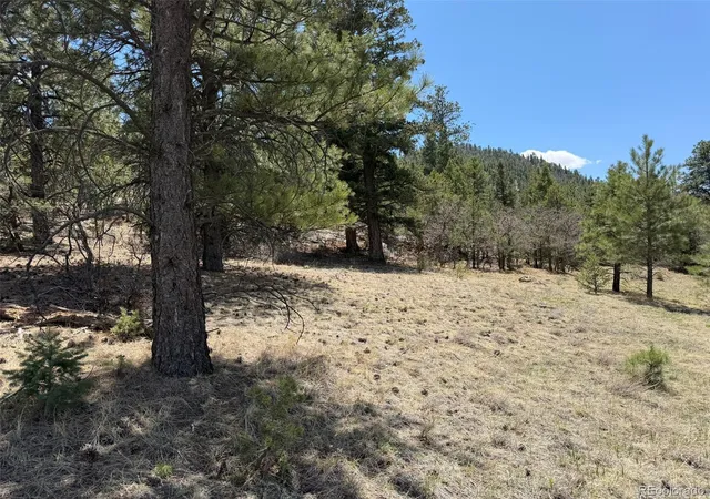 2nd image of 477 Bear Peak Rd, Westcliffe, CO 81252 | MLS# 8779280