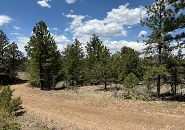 3rd image of 477 Bear Peak Rd, Westcliffe, CO 81252 | MLS# 8779280